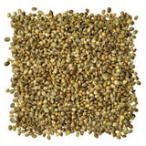 Hemp Seed