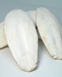 Cuttlebone Mini 3 Inch 2 Oz