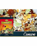 Higgins Sunburst Conure