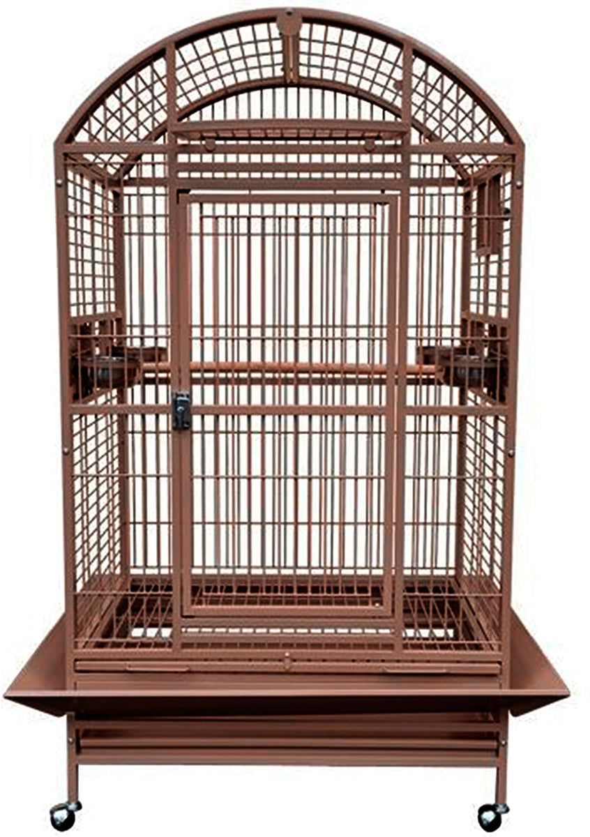 Parrot Cages for Every Size Bird: All Parrot Products