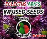 Infused Seeds - No Sunflower - Pick Your Flavor