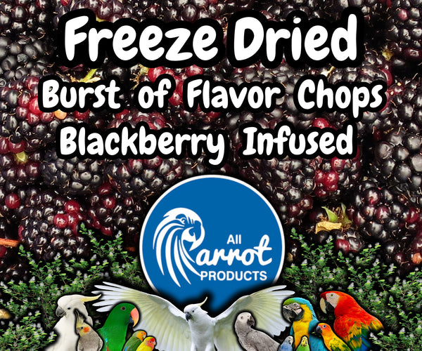 Freeze Dried Blackberry Infused Chop