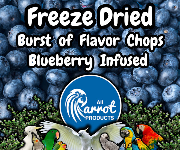 Freeze Dried Blueberry Infused Chop