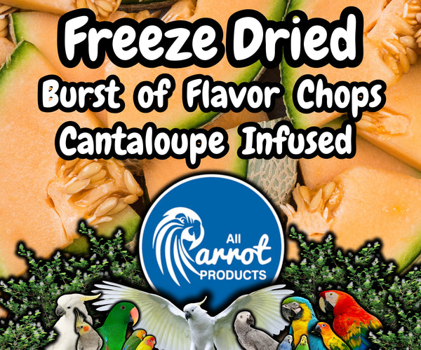 Freeze Dried Cantaloupe Infused Chop