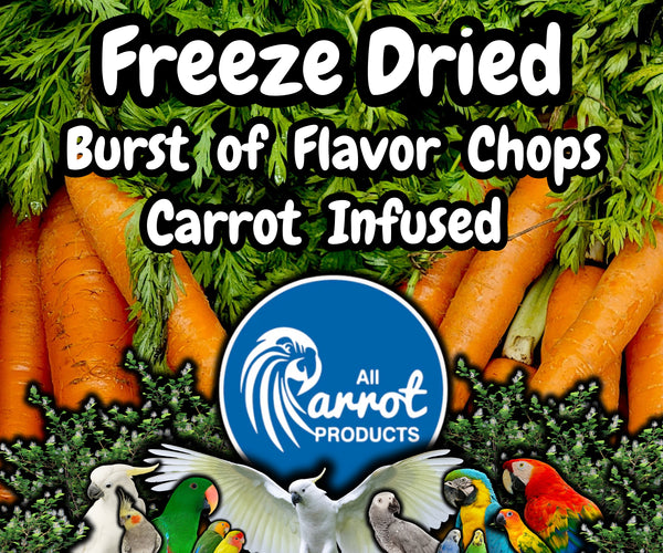 Freeze Dried Carrot Infused Chop