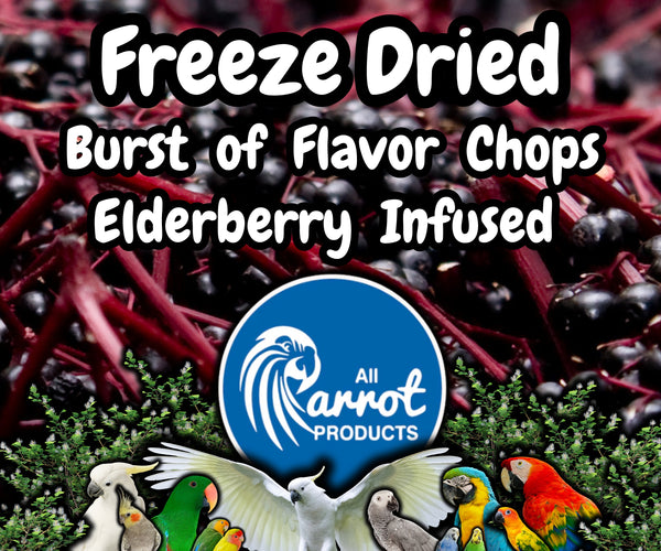 Freeze Dried Elderberry Infused Chop