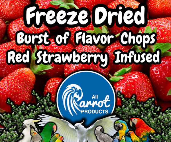 Freeze Dried Strawberry Infused Chop