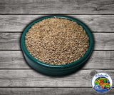Plain canary grass seed for canaries finches and budgies used as a seed mix ingredient.

