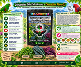 Eclectus Ark's Dehydrated Kale Trio - All Flavors
