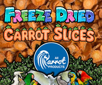 Freeze Dried Carrot Slices