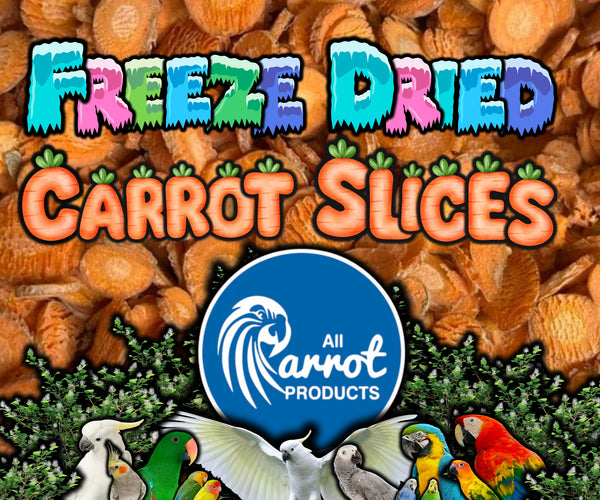 Freeze Dried Carrot Slices