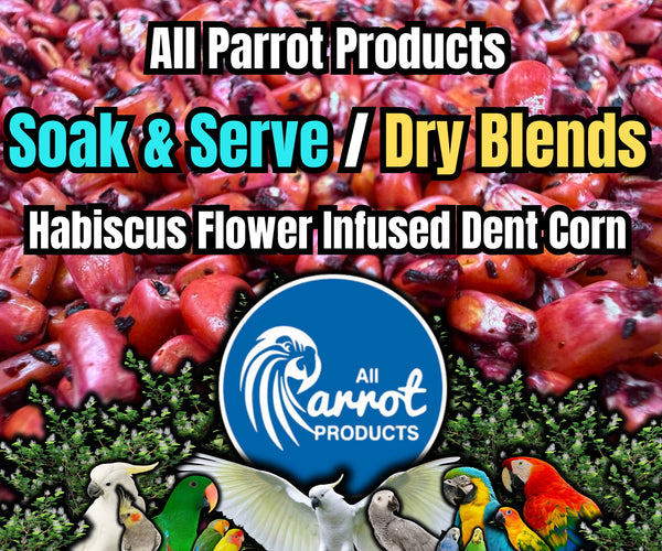 Hibiscus Flower Infused Dent Corn