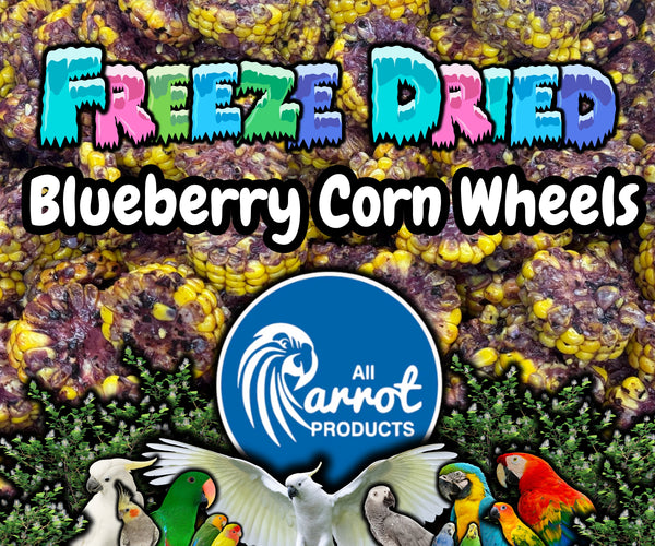 Freeze Dried Blueberry Corn Wheels