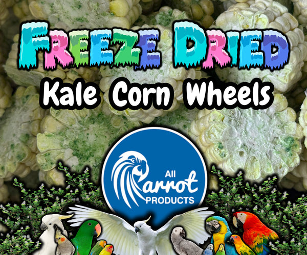 Freeze Dried Kale Corn Wheels