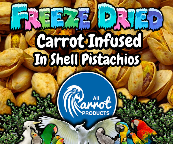 Freeze Dried Pistachios - Carrot Infused
