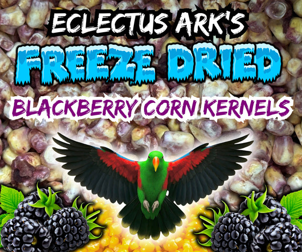 Freeze Dried Blackberry Battered Sweet Corn