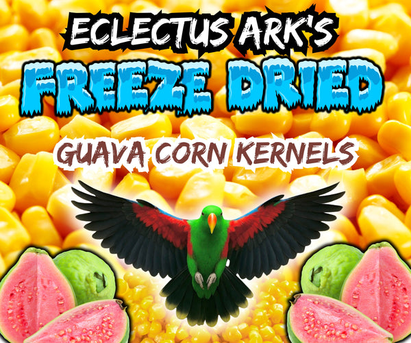 Freeze Dried Guava Battered Sweet Corn