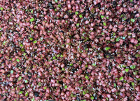 Freeze Dried Hibiscus Apple Seed Mix