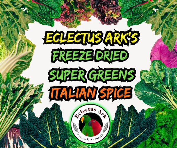 Freeze Dried Super Greens - Italian Flavor