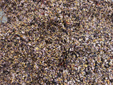 Blueberry & Coconut Battered Seed Mix