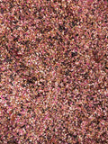 Dragon Fruit Battered Seed Mix