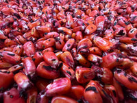 Hibiscus Flower Infused Dent Corn