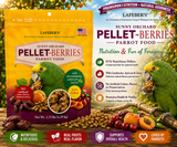Lafeber Pellet-Berries for Parrots made with 81% pellets, 19% fruits and grains, cranberries, apricots, dates, natural grains, vitamins, minerals, and omega fatty acids for parrots. 2.75 lb Promo