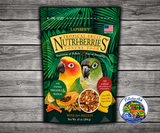 Lafeber Tropical Fruit Nutri-Berries Conure Food 10 Oz made with pineapple, papaya, mango, hulled white proso millet, safflower, red millet, peanuts, 26% pellets, vitamins, minerals, and omega fatty acids for conures and small parrots.