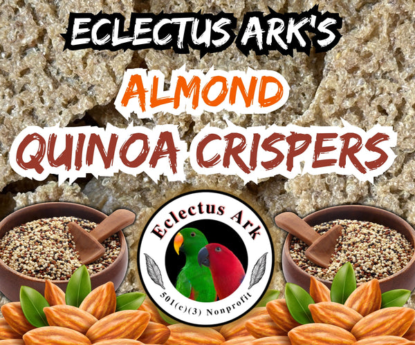 Dehydrated Quinoa Crispers - Almond