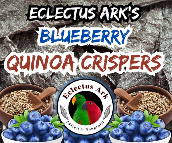 Dehydrated Quinoa Crispers - Blueberry