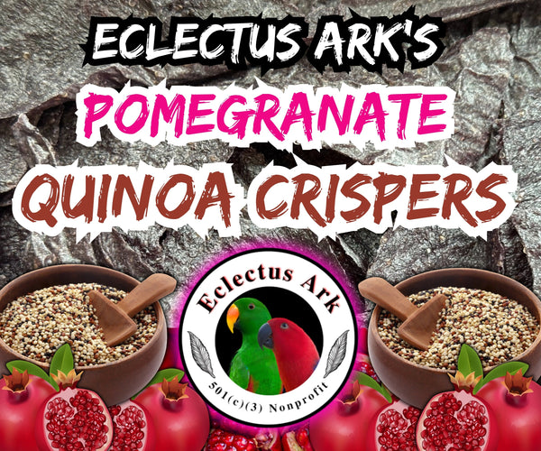 Dehydrated Quinoa Crispers - Pomegranate