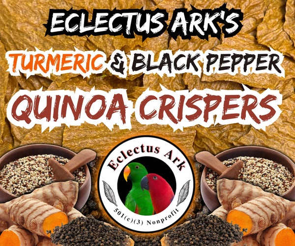 Dehydrated Quinoa Crispers - Turmeric & Black Pepper