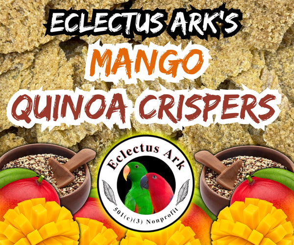 Dehydrated Quinoa Crispers - Mango