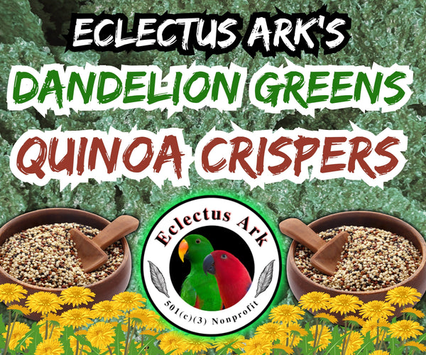 Dehydrated Quinoa Crispers - Dandelion Greens