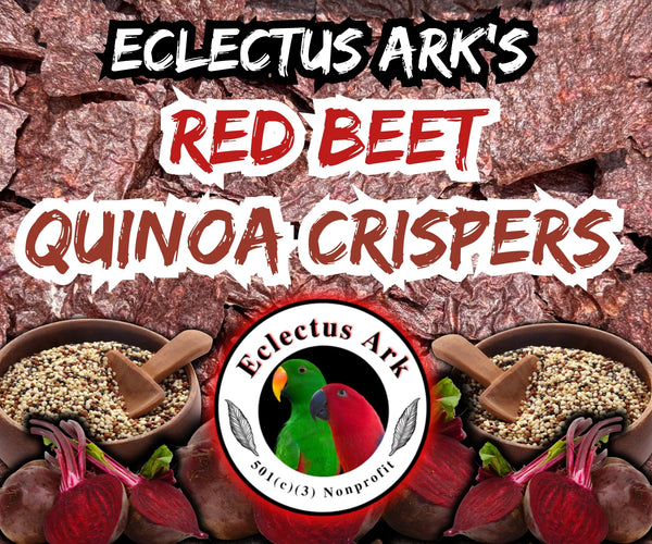 Dehydrated Quinoa Crispers - Red Beet