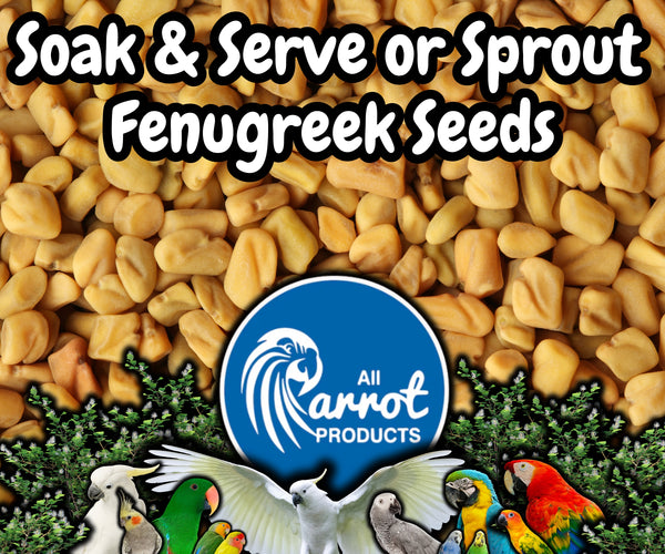 Soak & Serve / Sprout / Dry Blends - Fenugreek Seeds