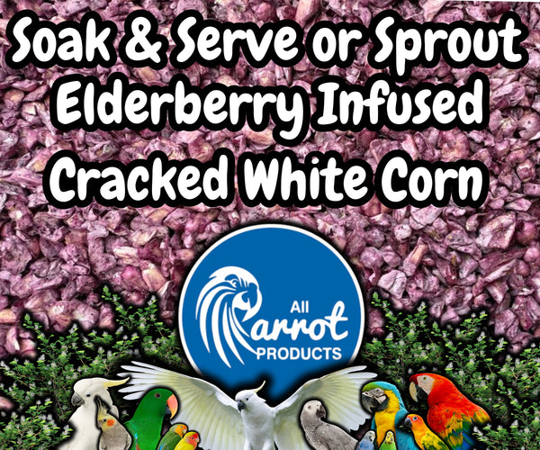 Soak & Serve / Sprout / Dry Blends - Elderberry Infused Cracked White Corn