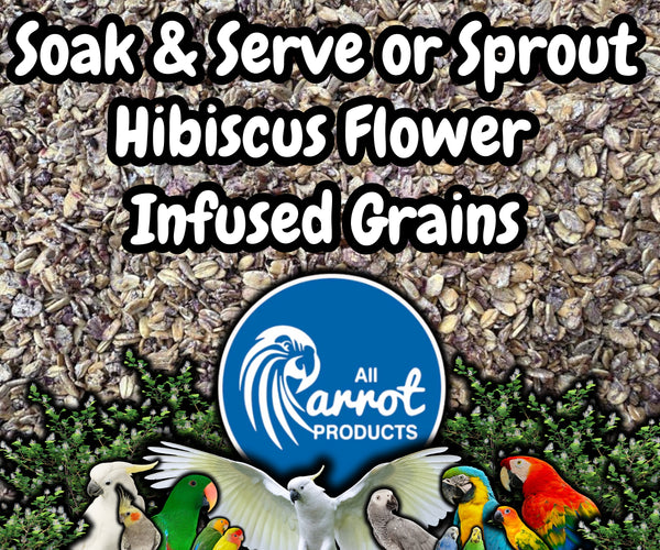 Soak & Serve / Dry Blends - Hibiscus Flower Infused Grains