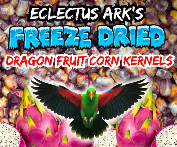 Freeze Dried Dragon Fruit Battered Sweet Corn