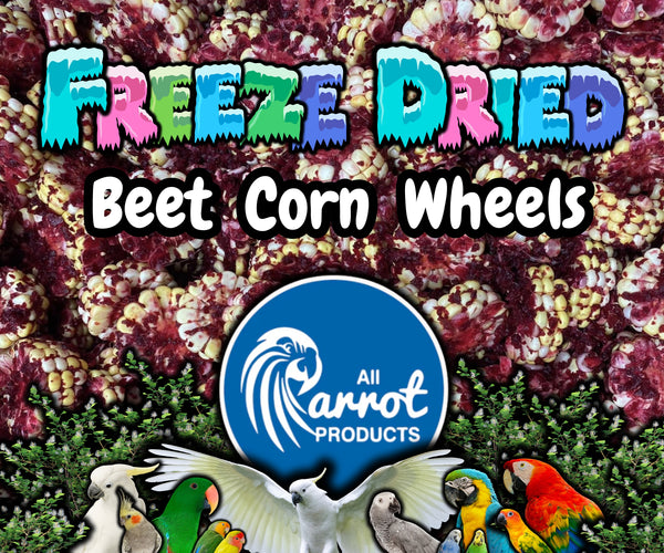 Freeze dried beet corn wheels parrot treats by All Parrot Products – all natural, no preservatives, healthy snacks for all parrot species