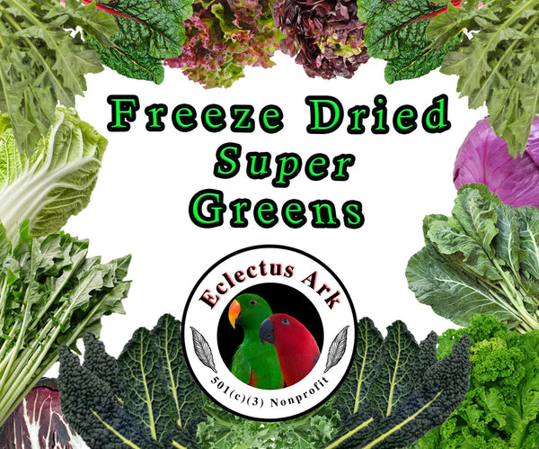 Freeze Dried Super Greens - Original
