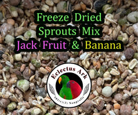 Freeze Dried Sprouts Mix Jack Fruit & Banana