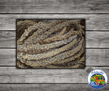 French Spray Millet 1 Lb