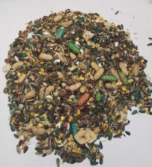 Abba Seed 1500 Parrot Food For Greys, Cockatoos Amazons – All