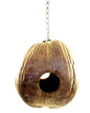 Aronico Coco Loco coconut foraging and chew bird toy