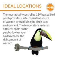 Heated  Parrot Perch Large