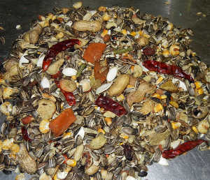 Parrot Seed: Abba Seed 3500 Parrot Food For Pet Birds All Parrot
