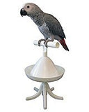 Universal parrot perch and stand with handheld and freestanding configurations for bird training and interaction
