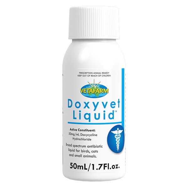 Pet Bird Medicine - Antibiotics Parrots - Vetafarm Doxyvet