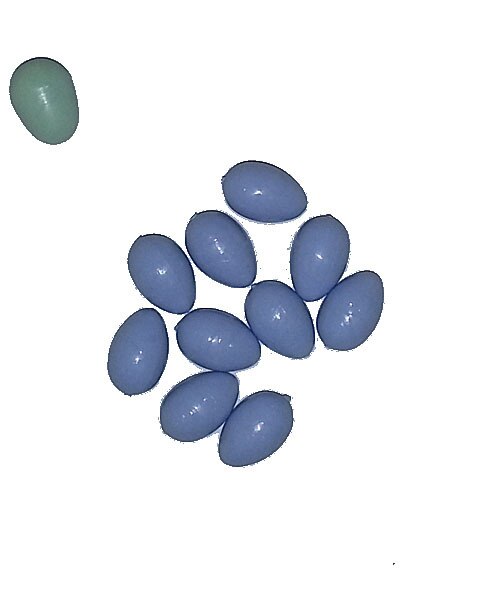 Plastic  Blue Eggs F inch Or Canary 10 Pack